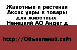 Животные и растения Аксесcуары и товары для животных. Ненецкий АО,Андег д.